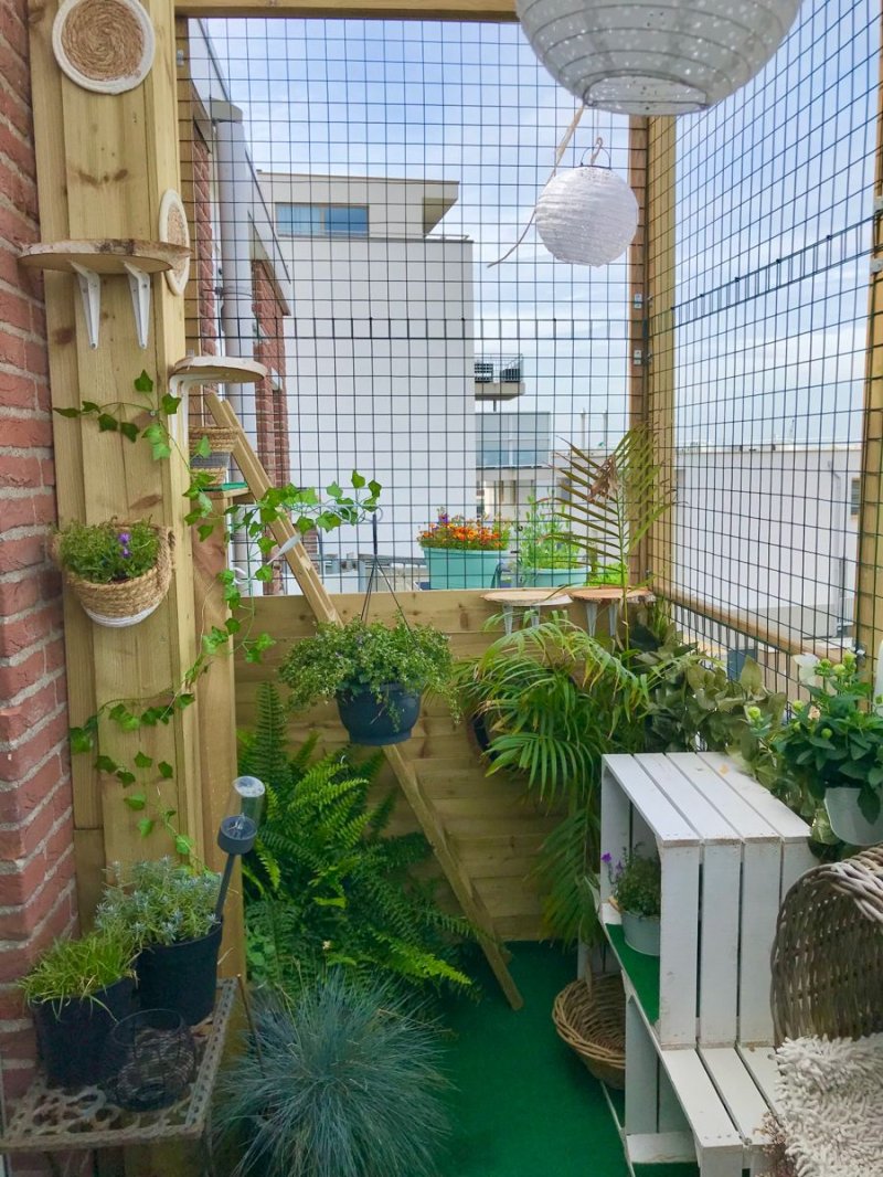 Balkon dekorasyonu