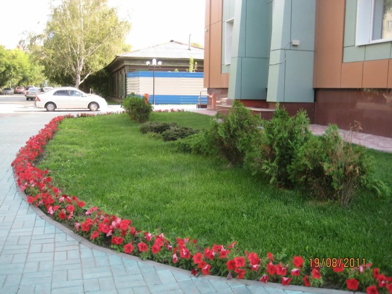 Озеленение клумб