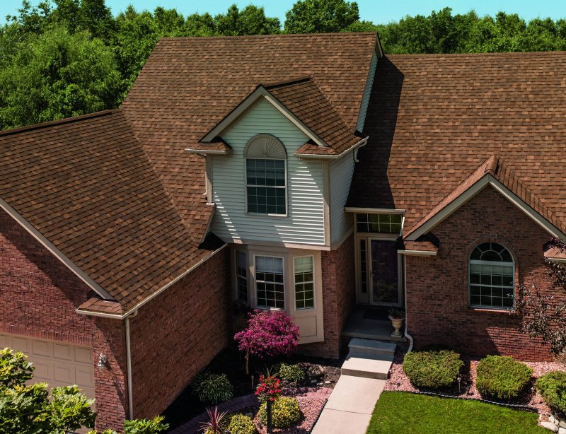 Roof shingle