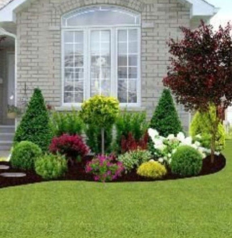 Backyard landscaping