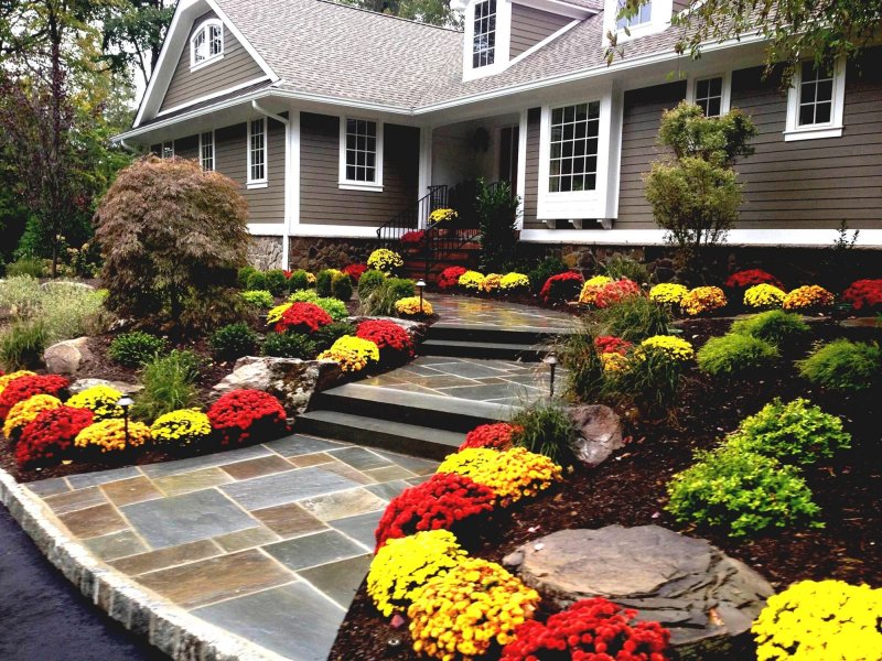 Front yard landscaping ideas