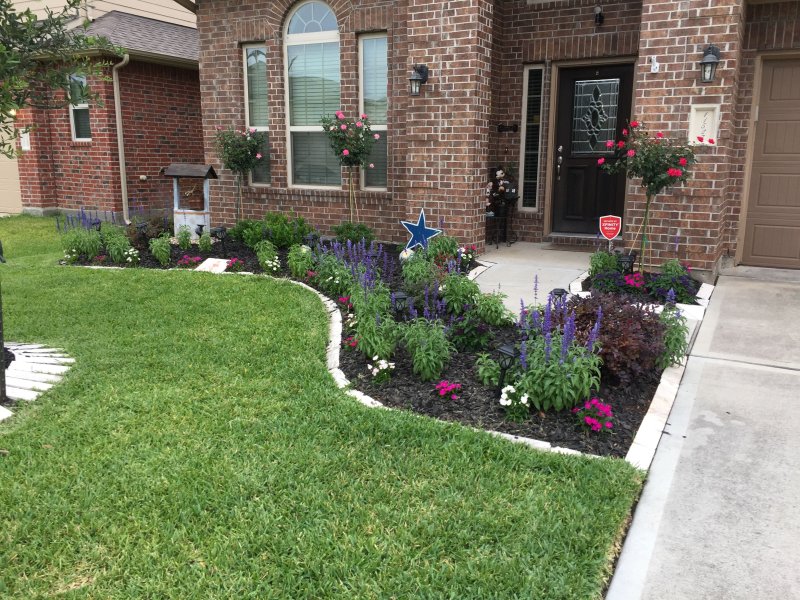 Front yard landscaping ideas
