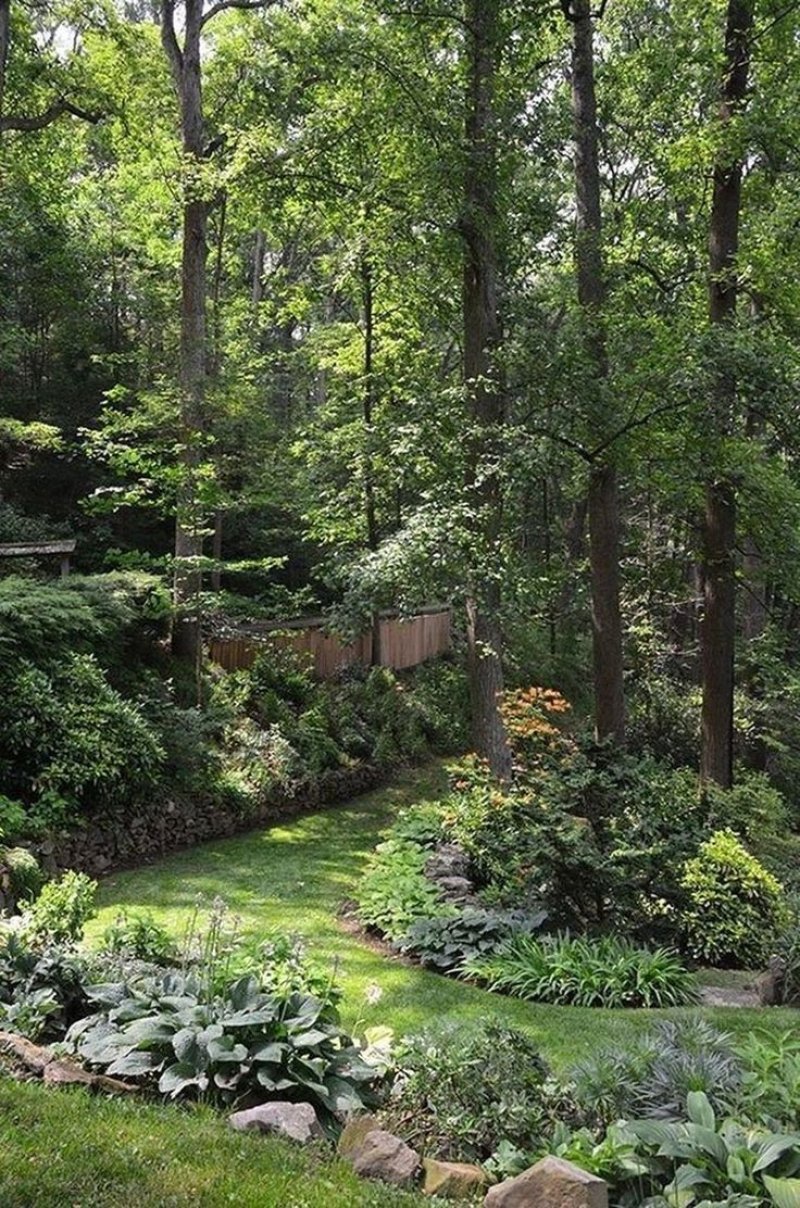 Backyard landscaping