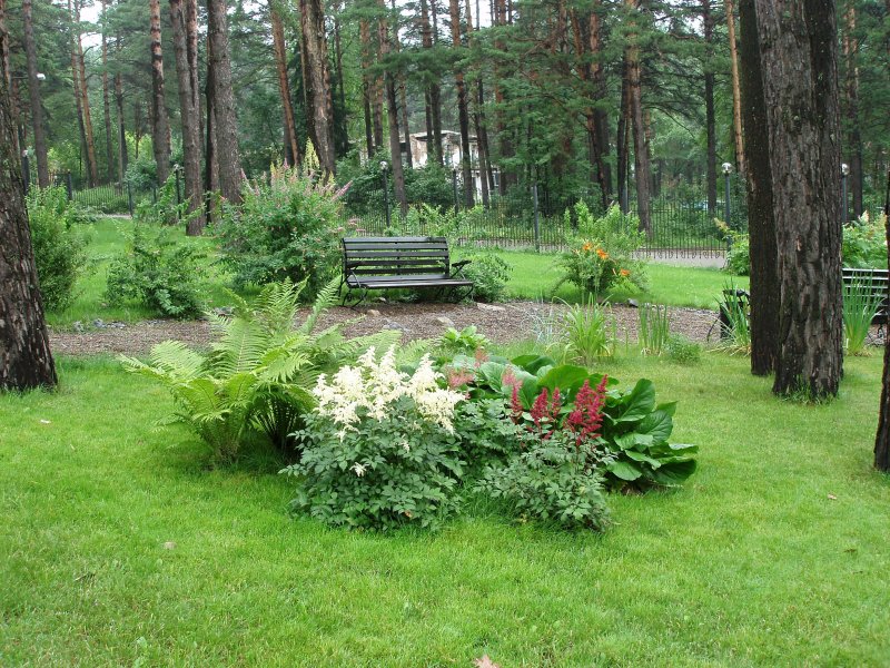 Ландшафтный дизайн лесного участка