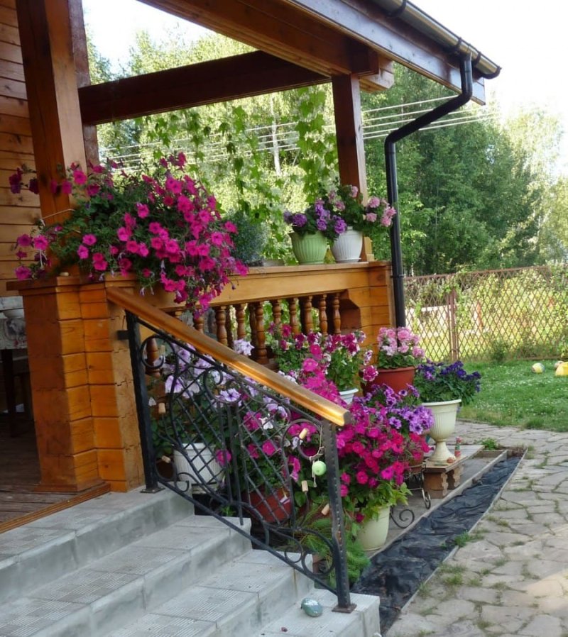 Клумба у дома