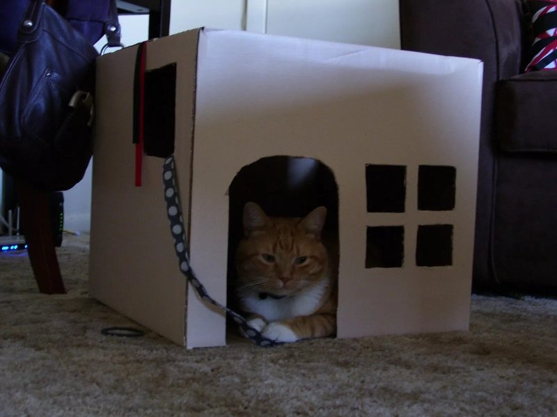Домики для котов из коробок