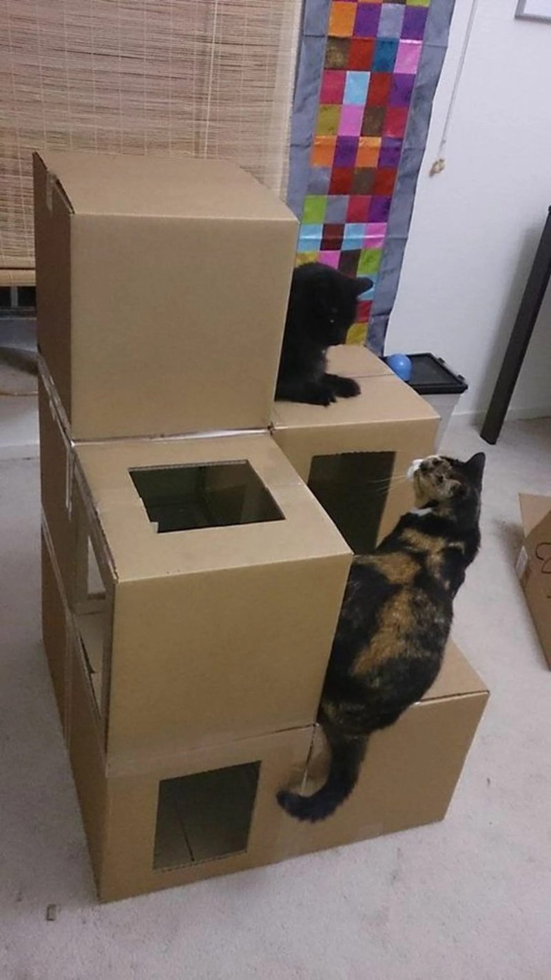 Кошкин дом из картонной коробки