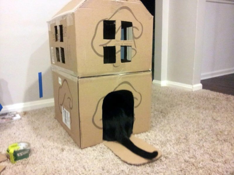 Домик для кота из картонной коробки