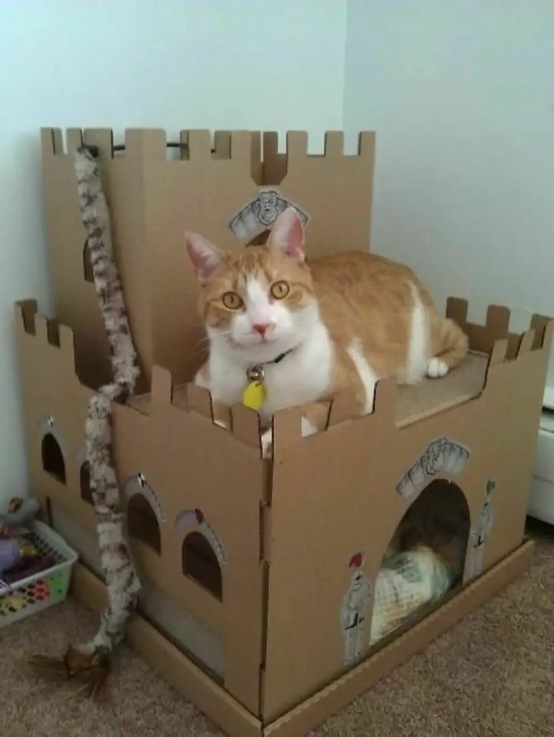 Кошкин дом из картонной коробки