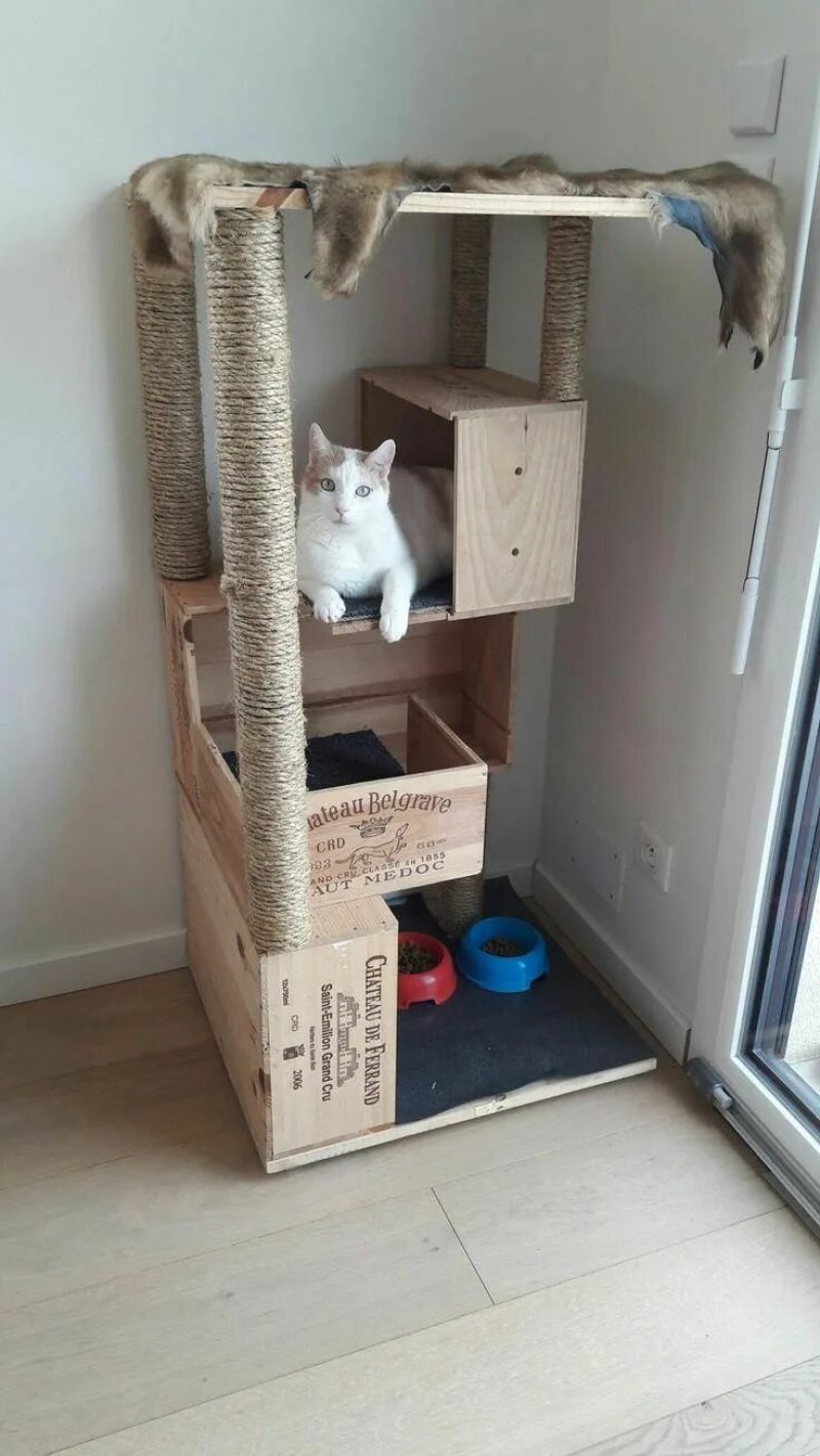 Домик для кота