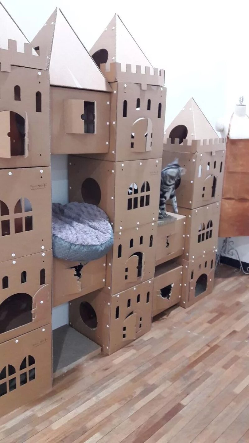 Кошкин дом из картонной коробки