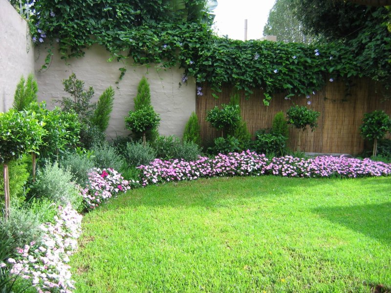 Backyard landscaping