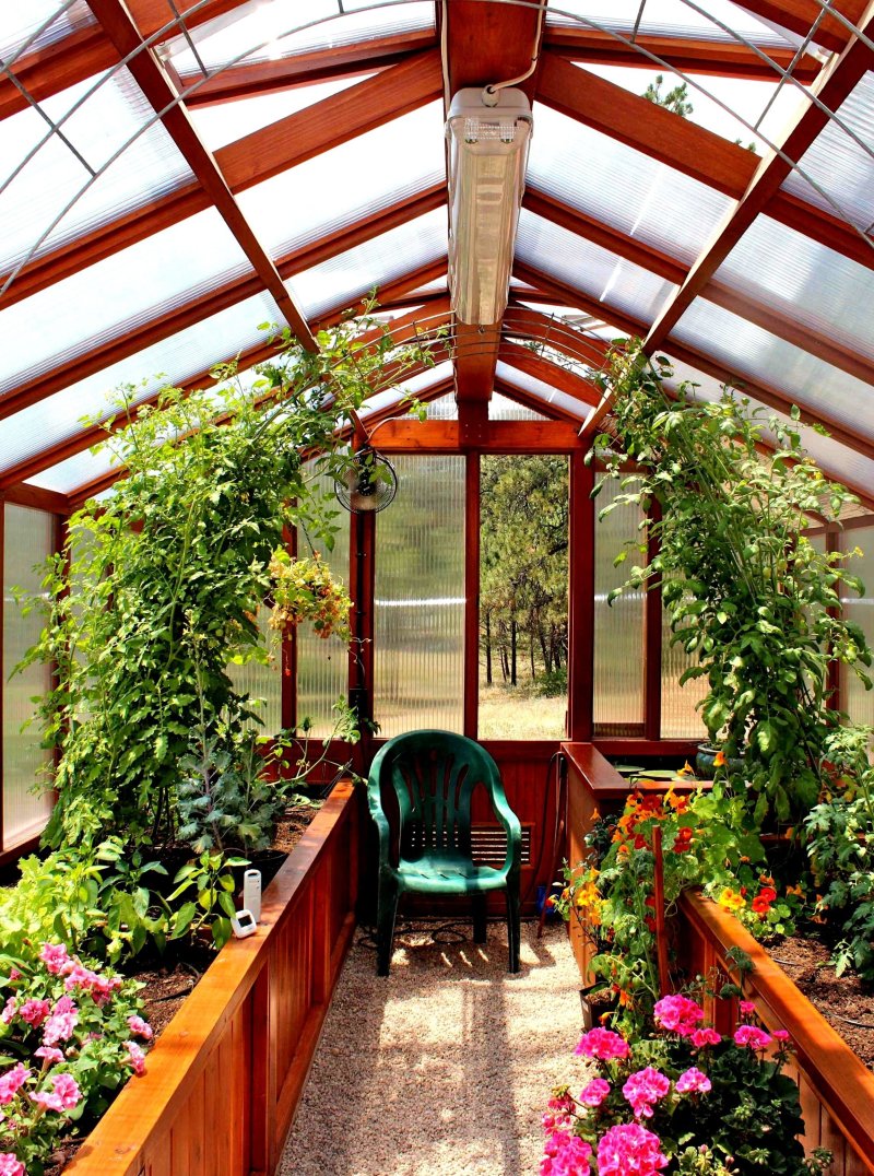 Теплица елены власенко green house