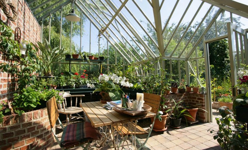 Теплица елены власенко green house