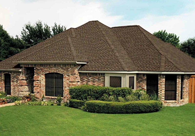 Roof shingle