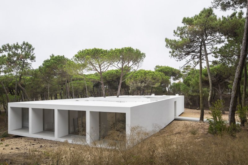 Fran silvestre arquitectos