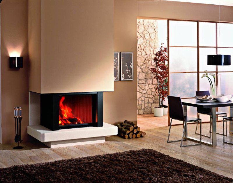 Каминная топка spartherm