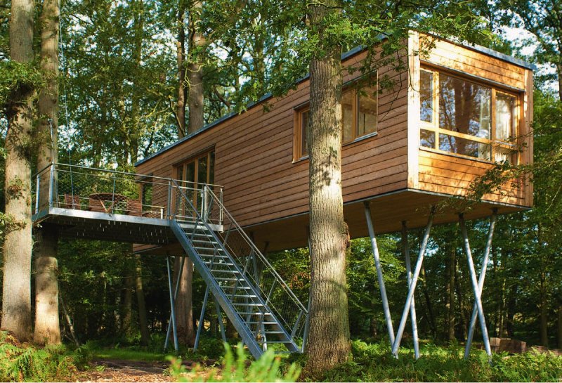 Дом на дереве treehouse баумраум
