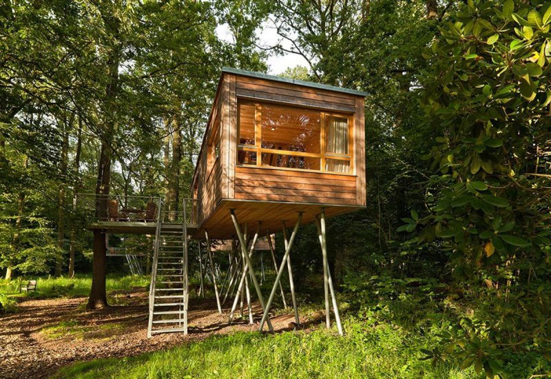 Дом на дереве treehouse баумраум