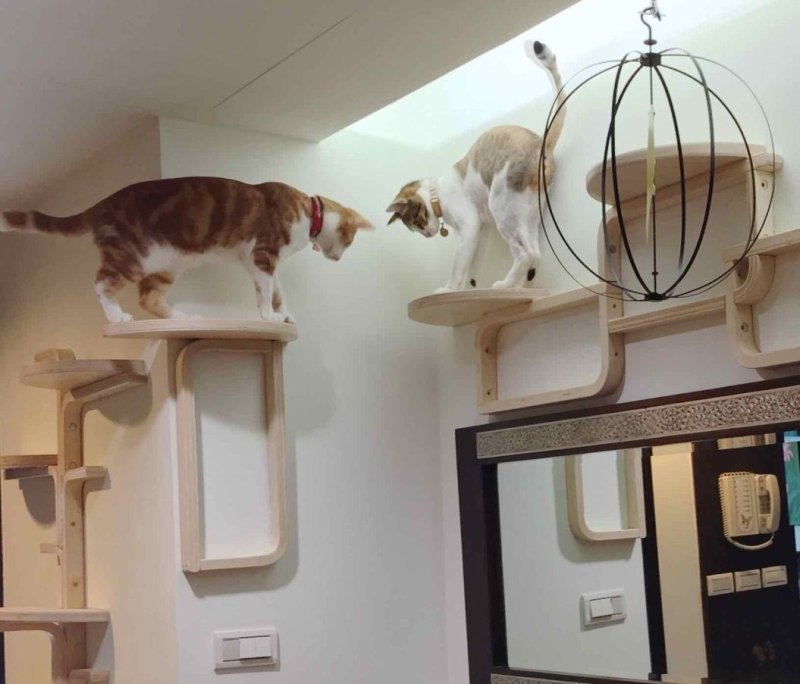 Кошачий домик икеа