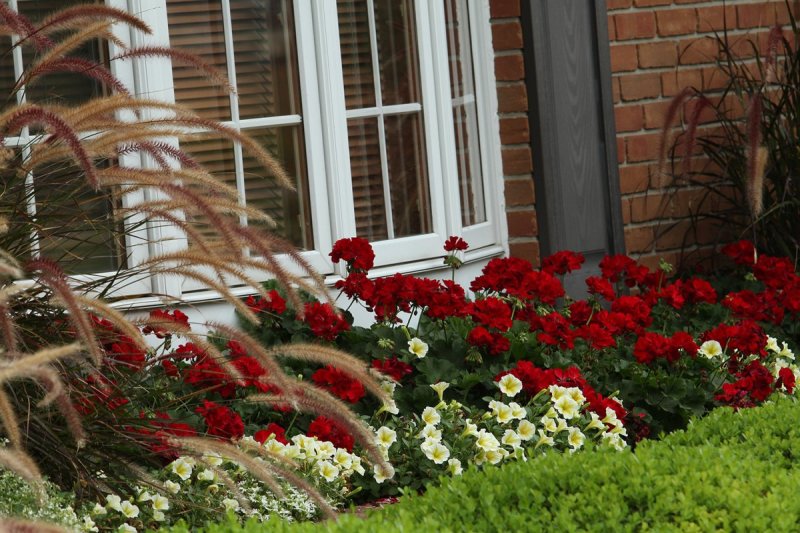 Landscaping ideas