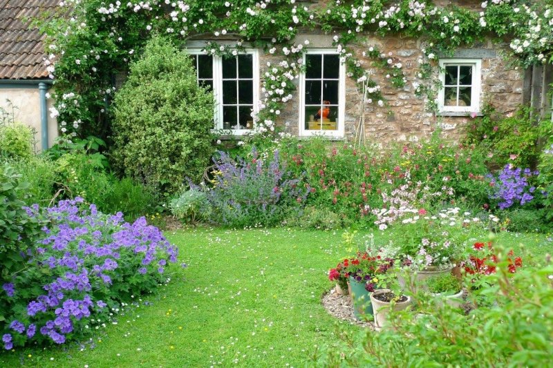 English cottage garden
