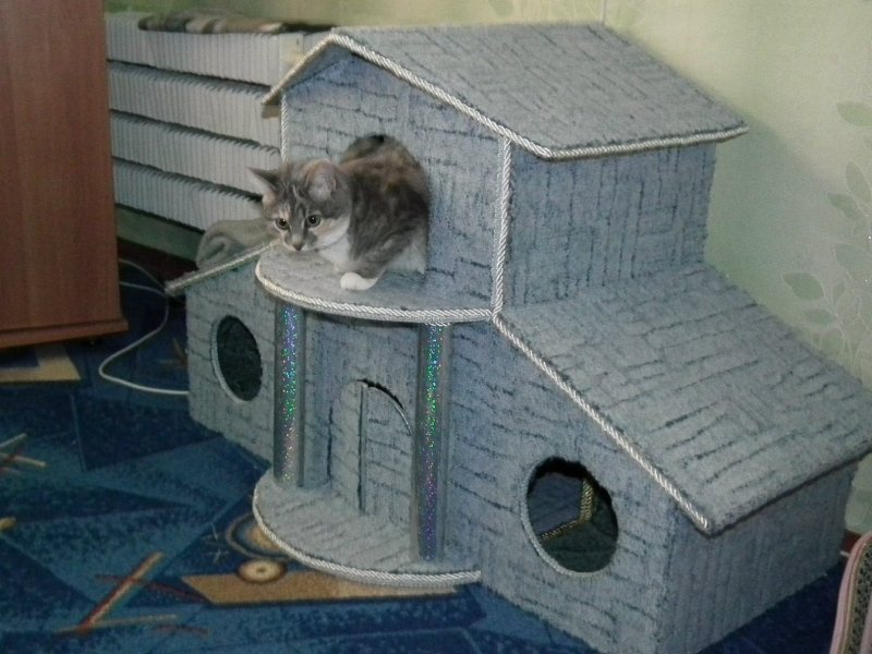 Кошкин дом домик котят
