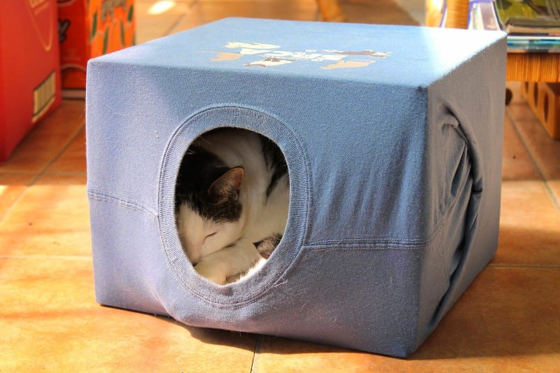 Домик для кошек из коробки