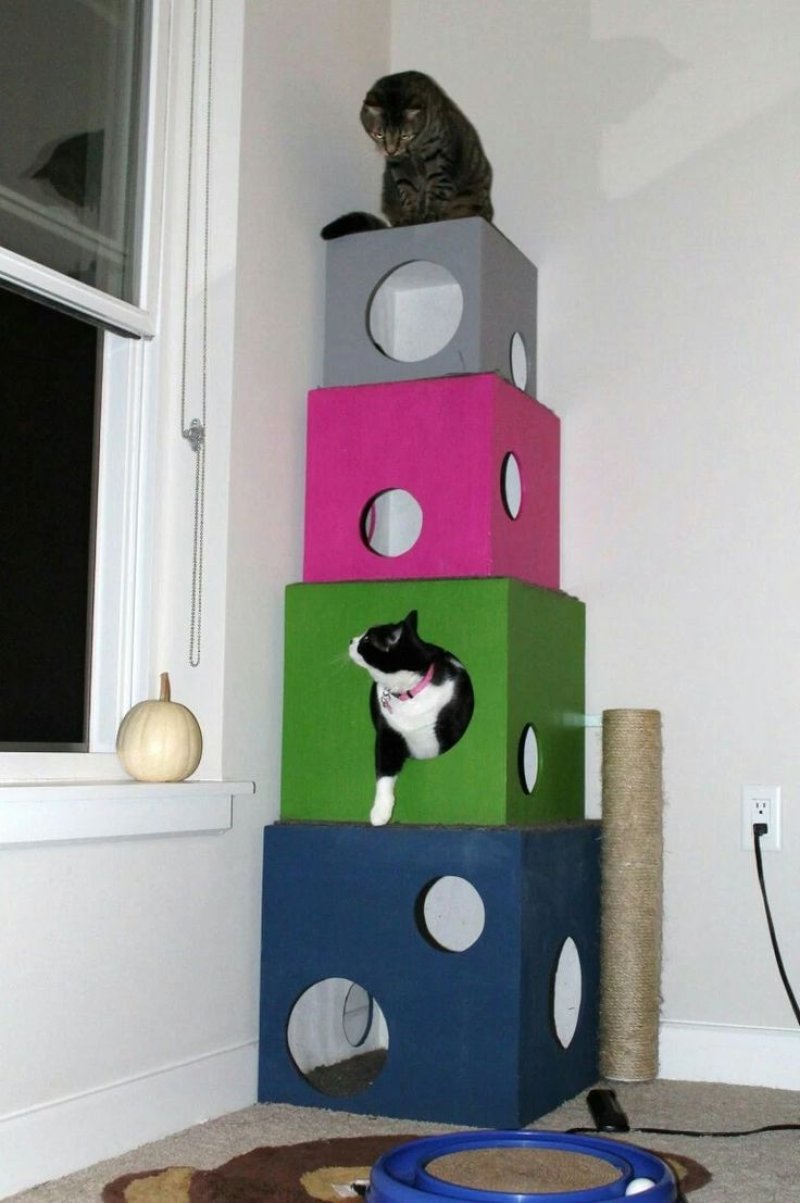 Домики для котов из коробок