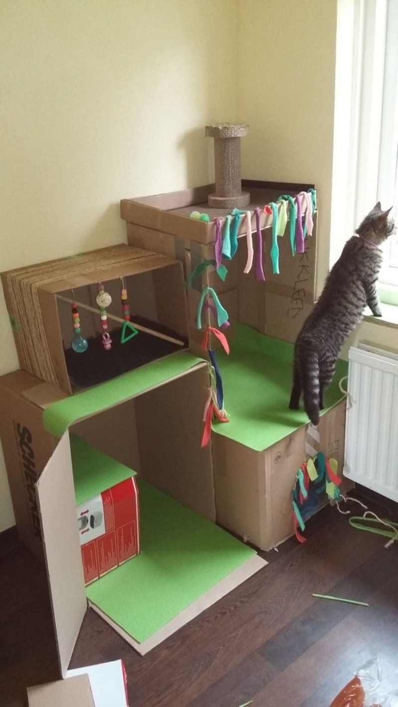 Домик для кошек из коробки