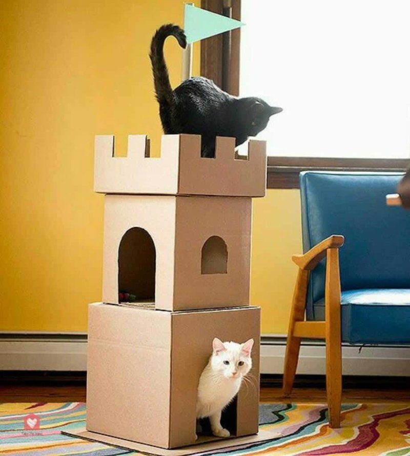 Кошкин дом из картонной коробки