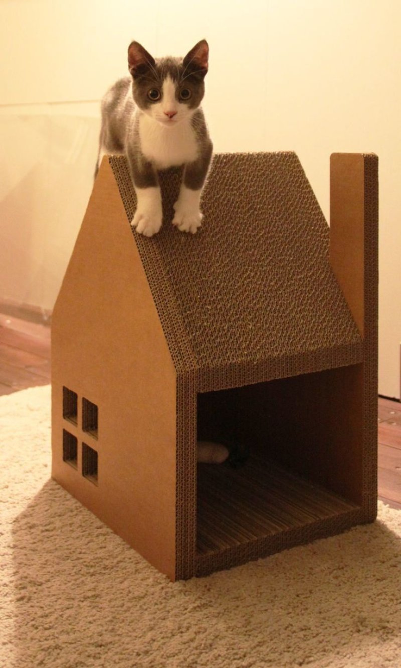 Кошкин дом из картонной коробки