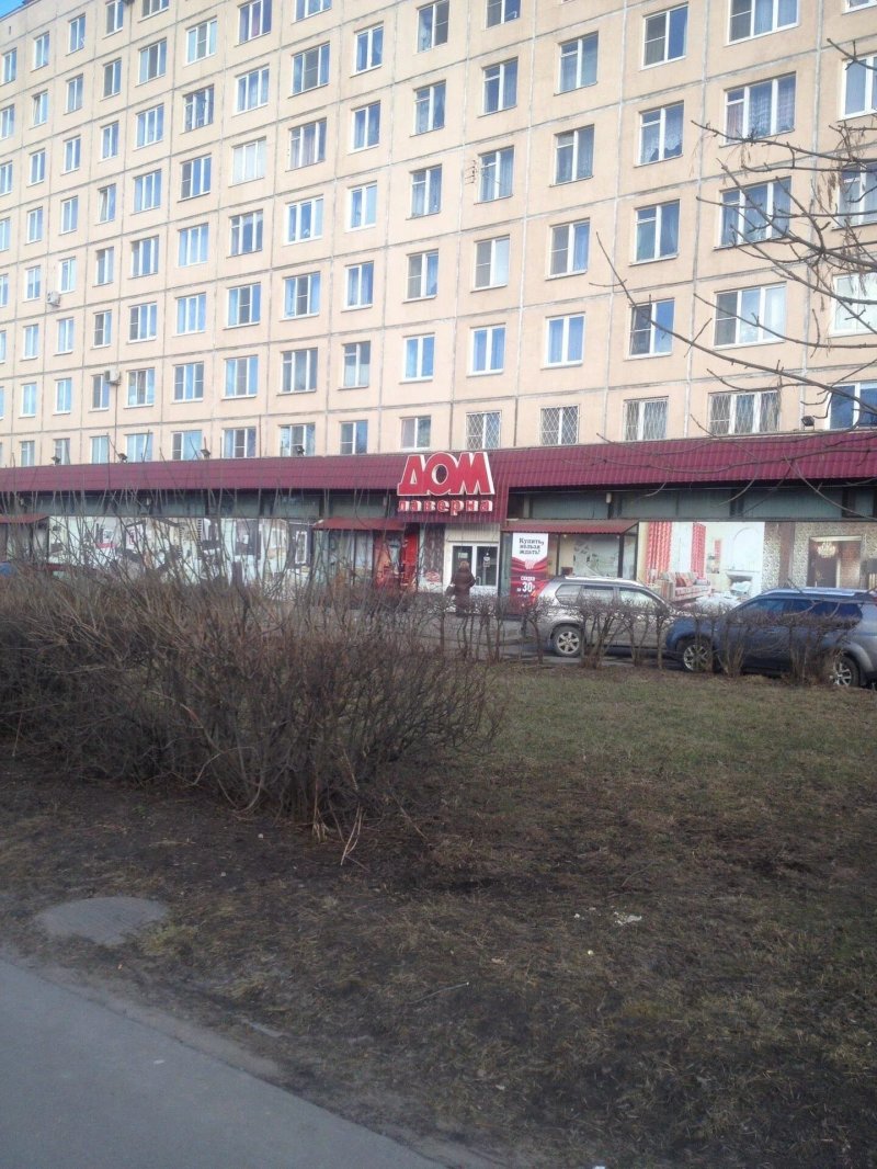 Санкт петербург проспект