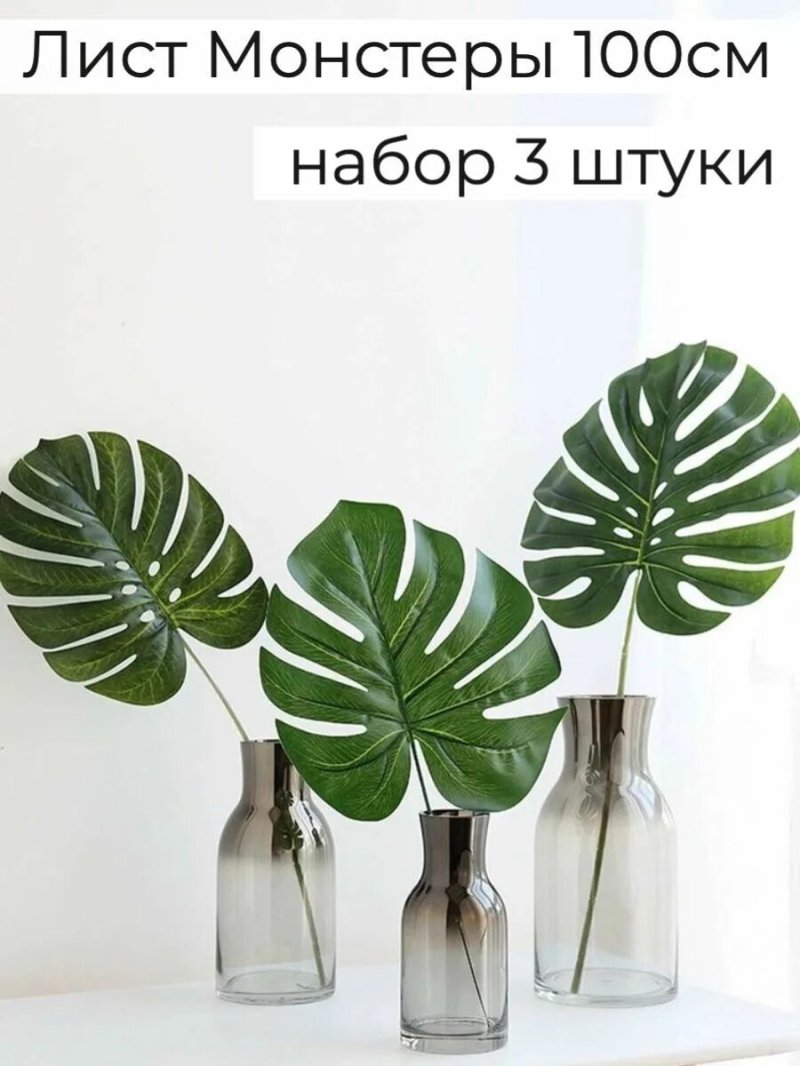 Монстера альба