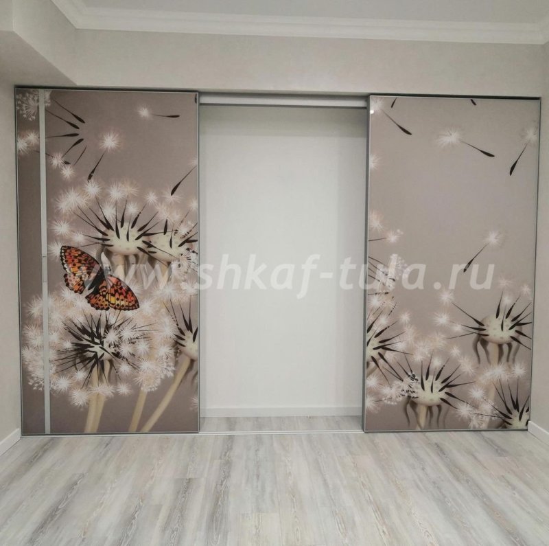 Шкафы купе с фотопечатью
