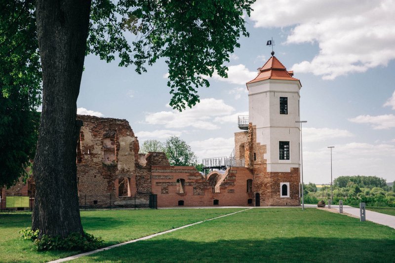 Замки белоруссии гольшанский