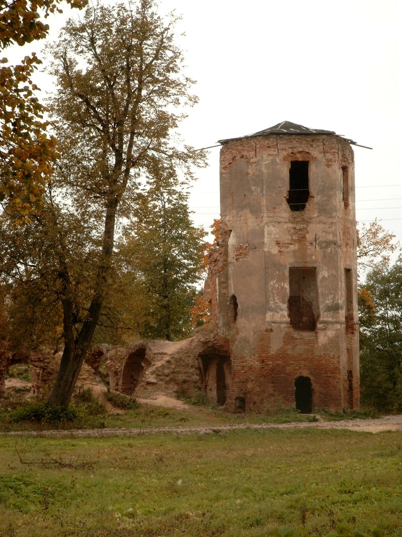 Гольшанский замок