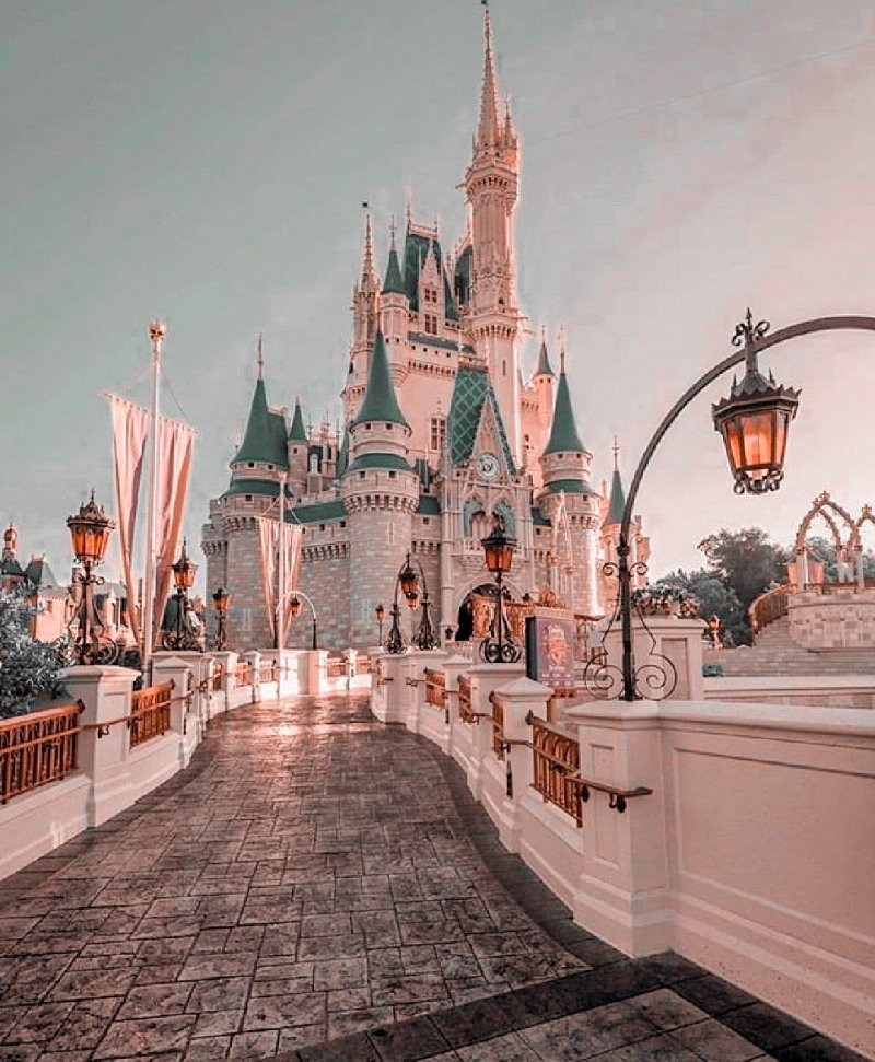 Castle disney