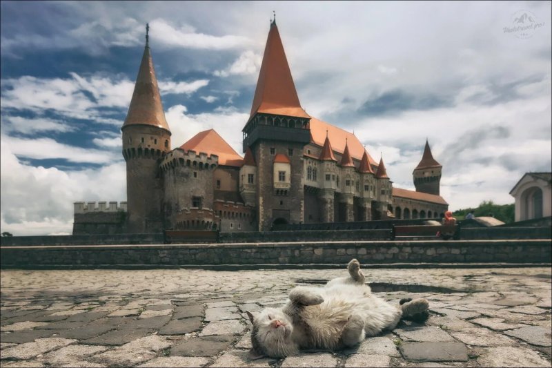 Замок хунедоара румыния