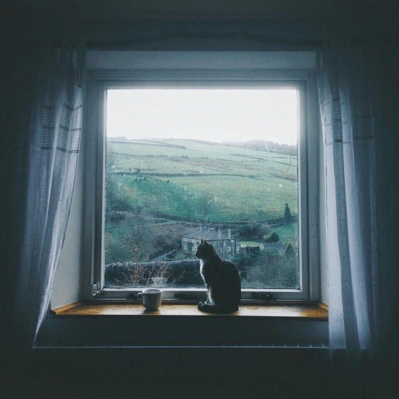 У окна