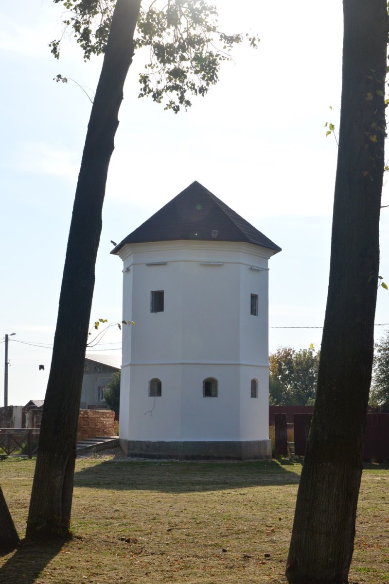 Быховский замок беларусь