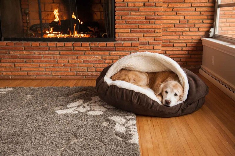 Лежак для собак cozy dog cave