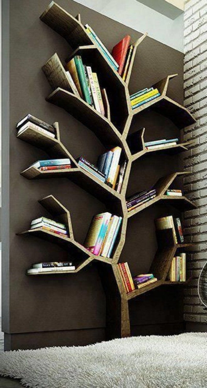 Необычные книжные полки