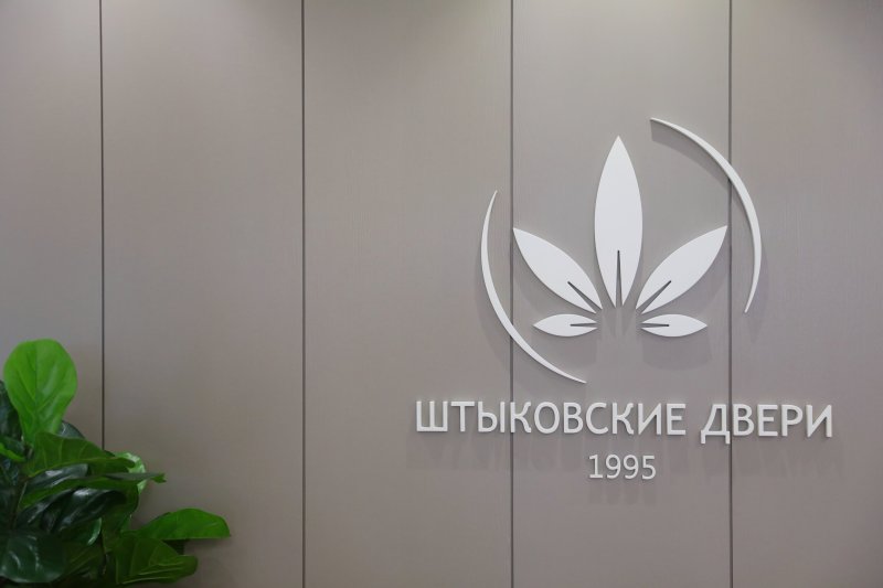 Штыковские двери