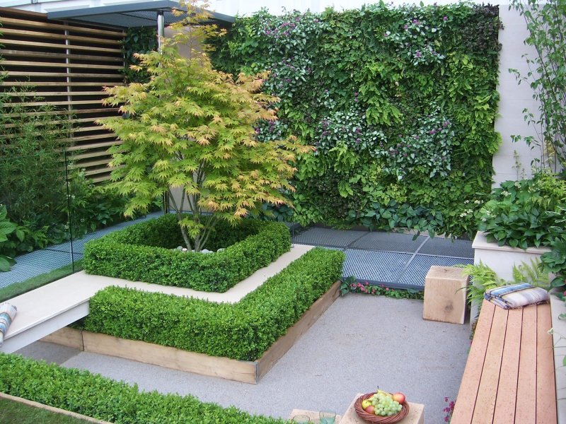 Small garden design