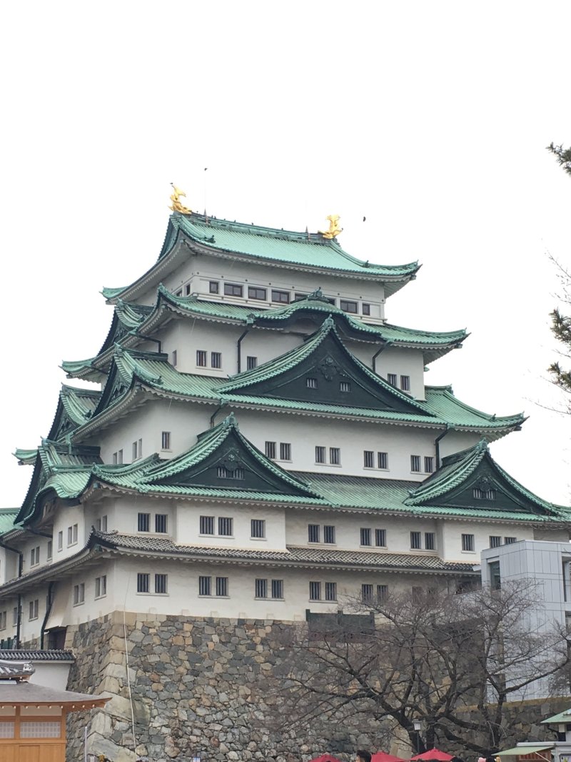 Nagoya castle