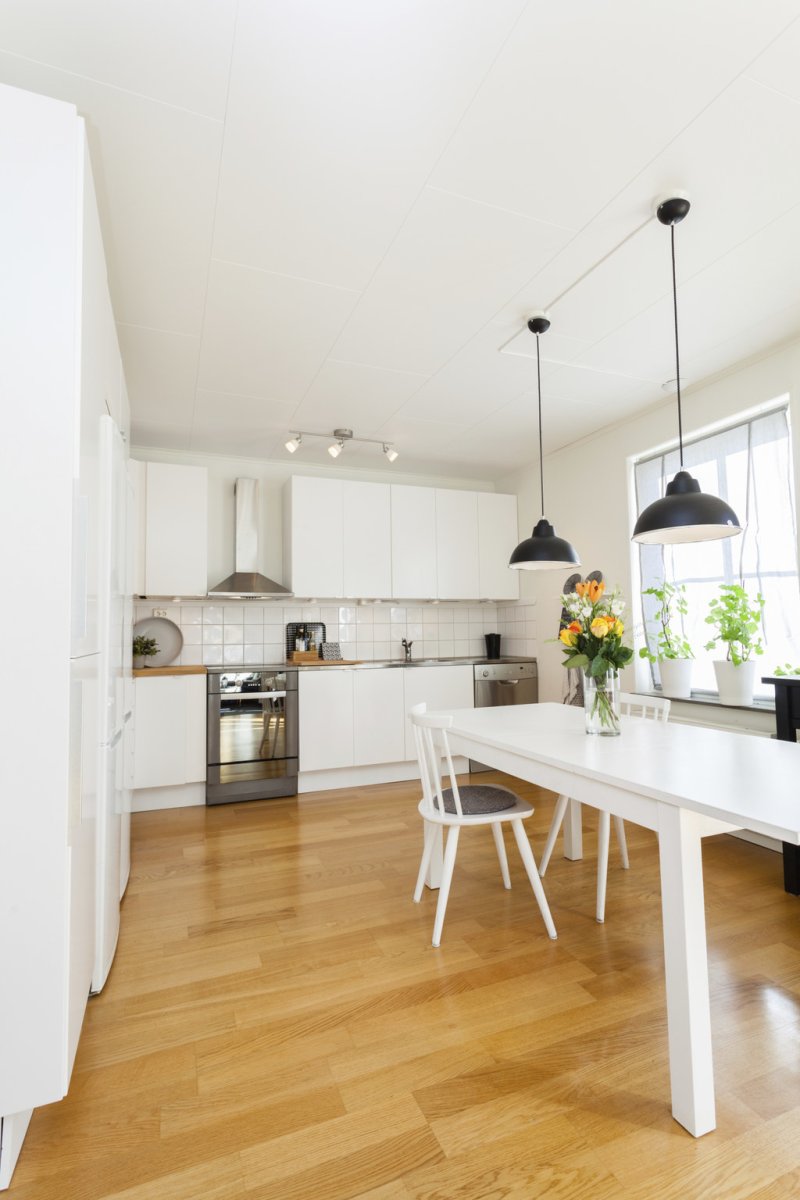 Scandinavian kitchen