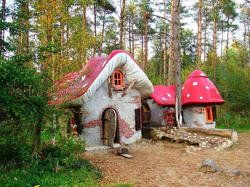 Бруно дзеви дом гриб