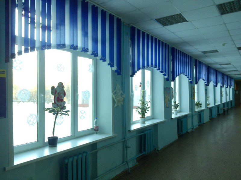 Жалюзи в школе