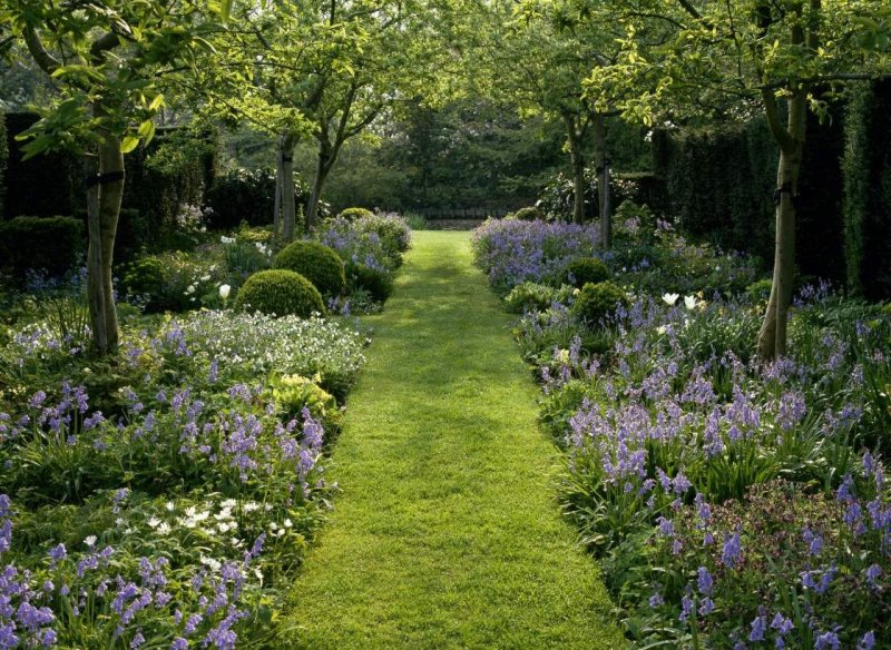Garden garden